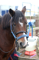 Scone Riding Center