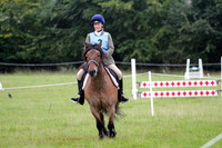 Show Jumping. Class One