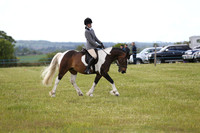 Ridden Native Trad/Cob Coloured