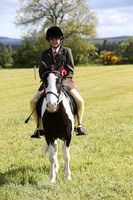 Pony Champion