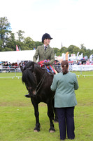 Ridden Highland Champion
