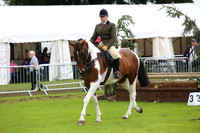 Ridden Hunter Champion