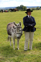 Donkey Condition/Turnout