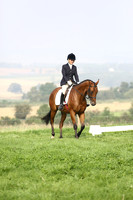 Dressage 14.00-15.00