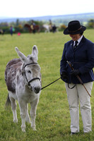 In Hand Donkey