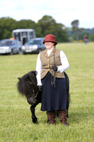 In Hand Standard Shetland