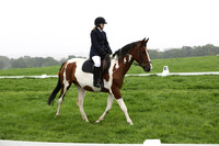 Dressage 11.00-12.00