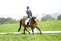 Dressage 13.00-14.00
