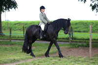 Class 15 Novice Ridden