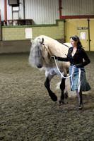 Stallion Show